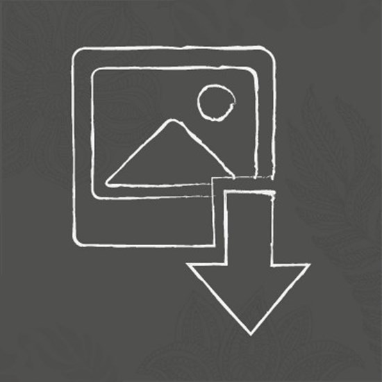 Download Product Images